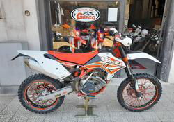 Betamotor RR 520 4T Enduro (2011 - 12) usata