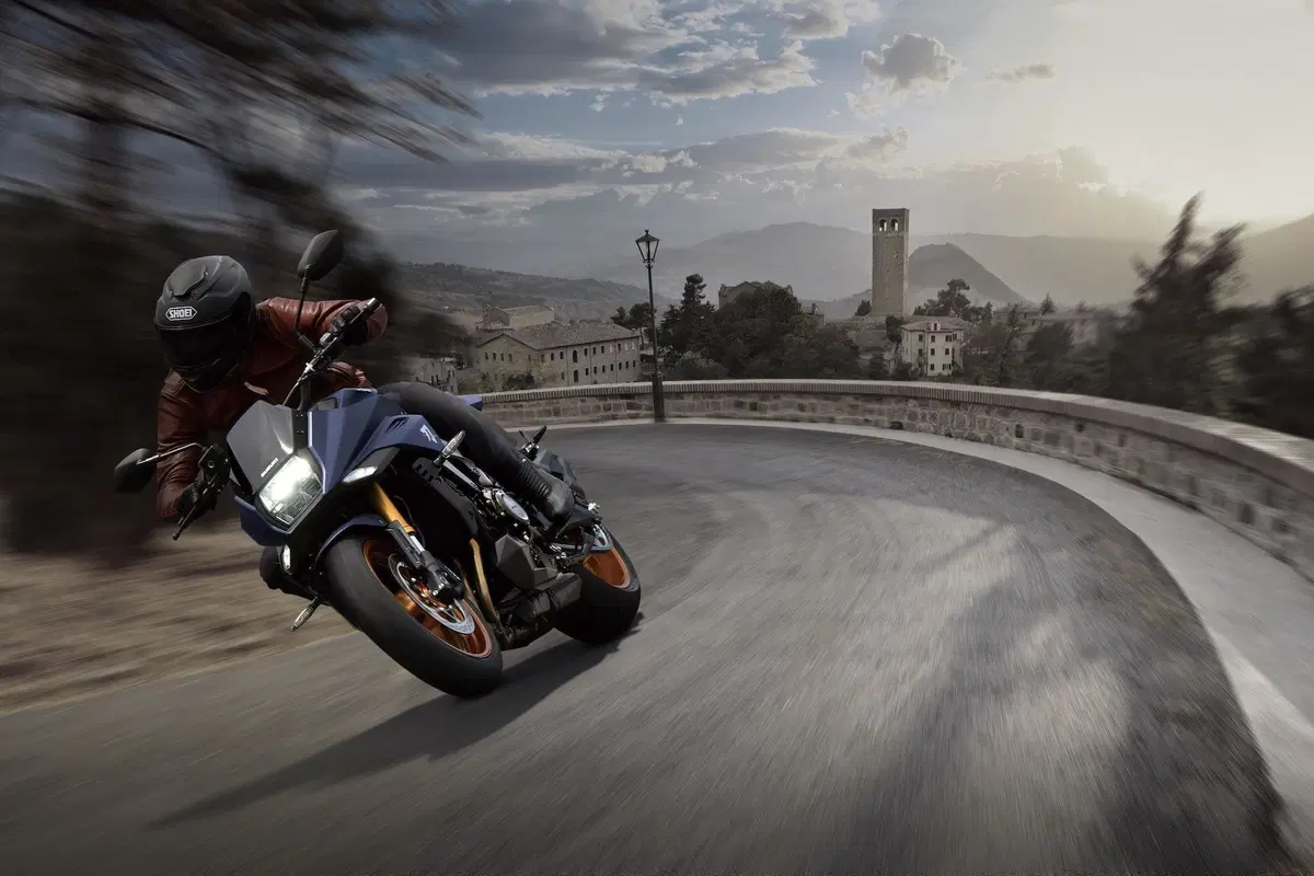 Suzuki cresce nel mondo, non in Europa e USA (8)