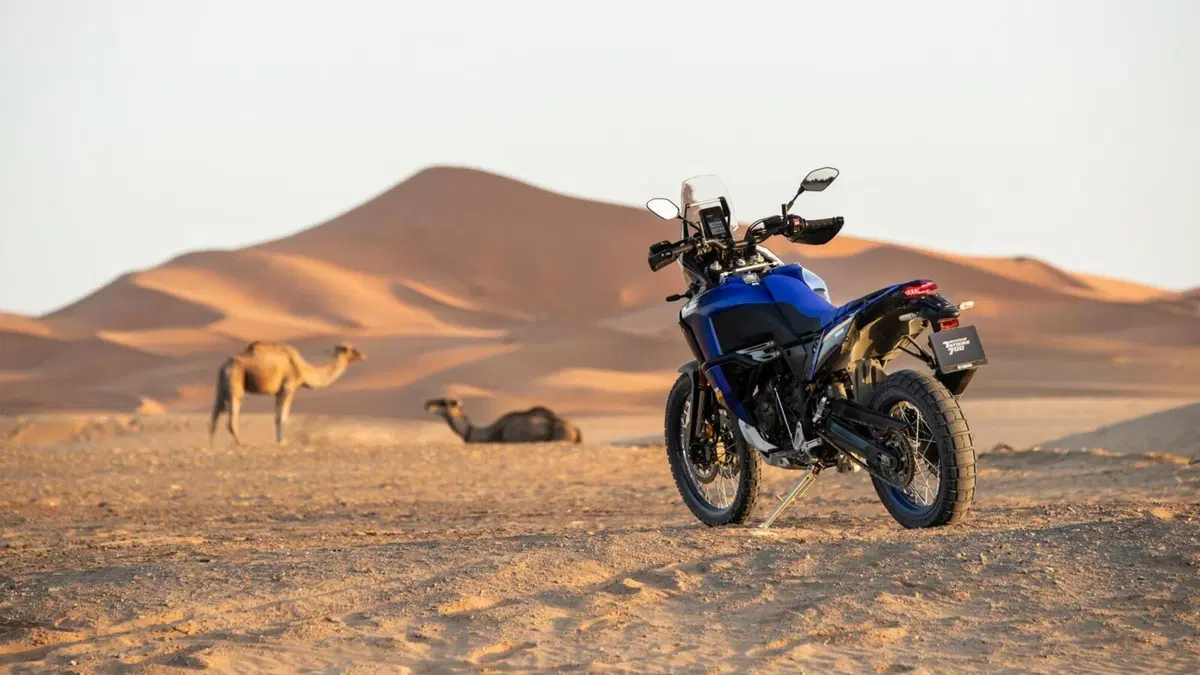 Nuova Yamaha Ténéré 700 World Raid 2022. Quella che mancava (35)