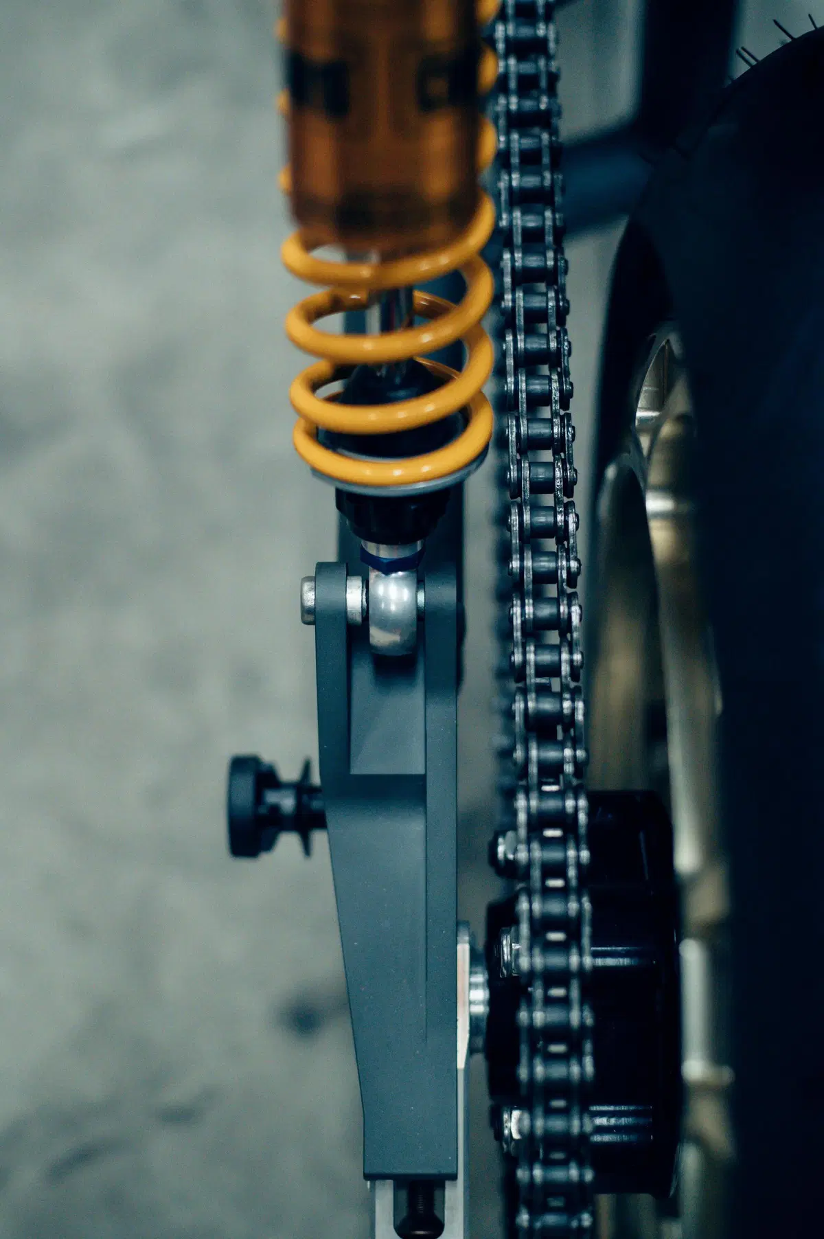 Indian FTR AMA by Workhorse Speed Shop. Special d'autore (22)