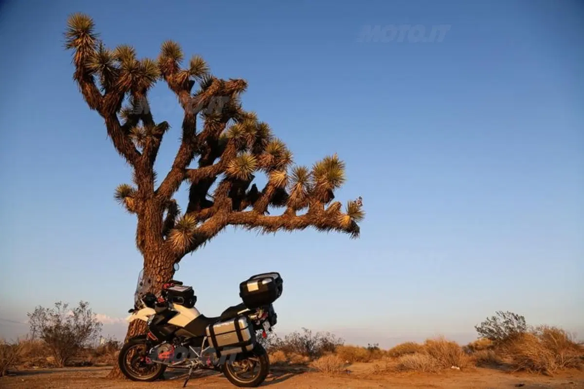USA. Da Redding a Flagstaff: 1000 miglia attraverso Death Valley, Mojave Desert (29)