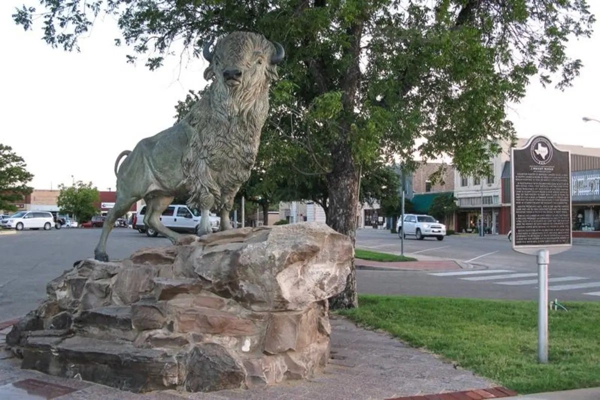 USA. Da Flagstaff ad Austin, attraverso la "steppa" di New Mexico e Texas (2)