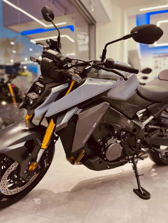 Suzuki GSX-S1000 (2021 - 24) (5)