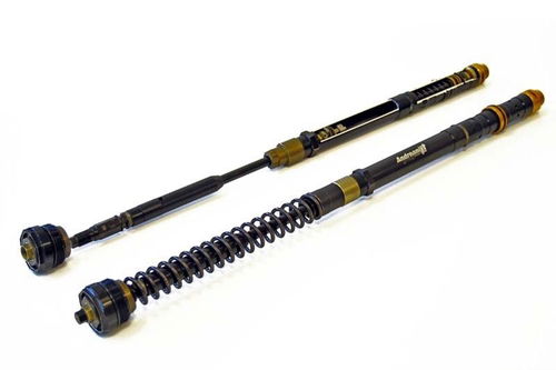 Cartuccia chiusa per forcella