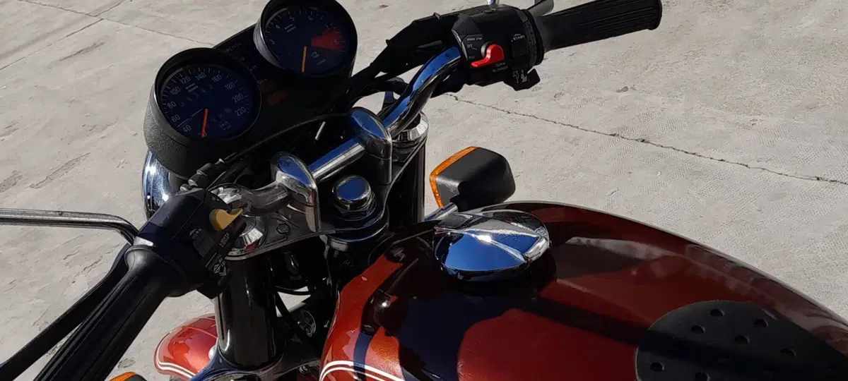Bmw r 60/6 (8)