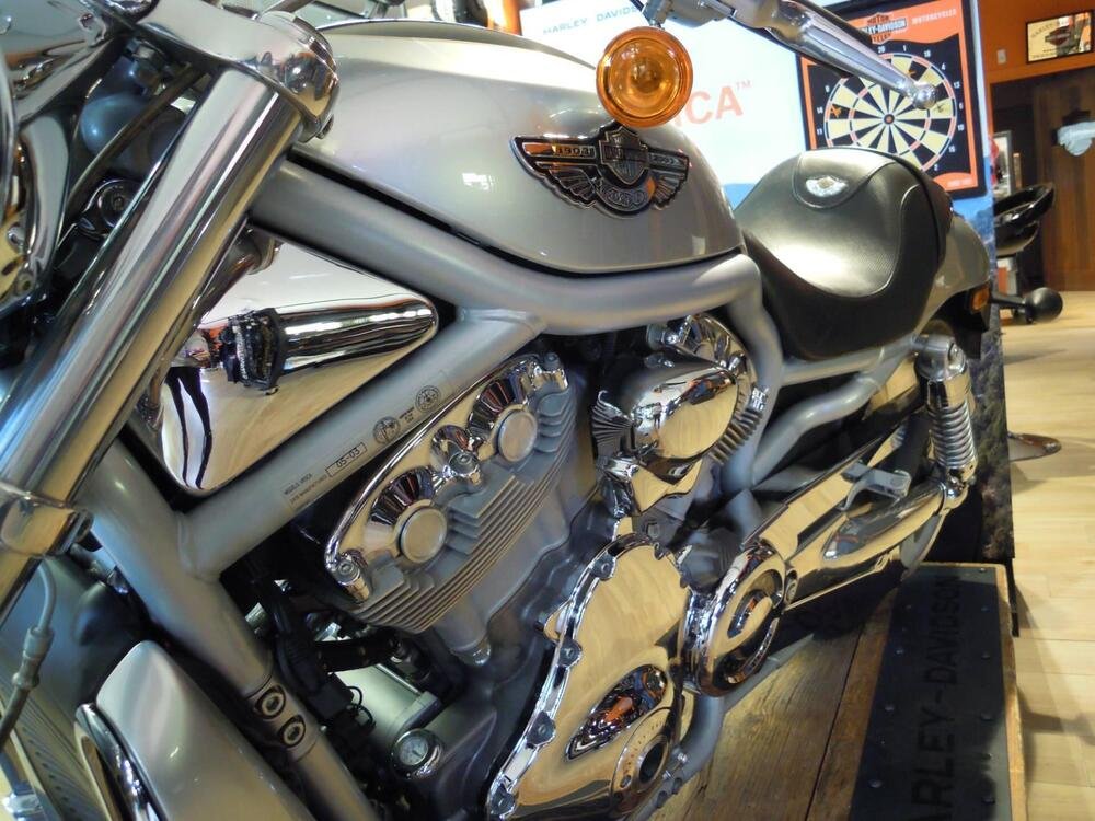 Harley-Davidson 1130 V-Rod (2002 - 05) - VRSCA (4)