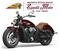 Indian Scout (2021 - 24) (7)