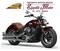 Indian Scout (2021 - 24) (8)