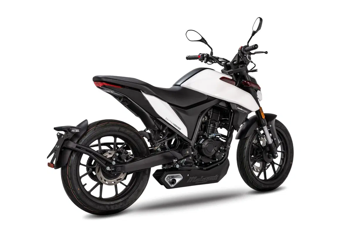 Malaguti Drakon 125 Drakon 125 (2022 - 26) (5)