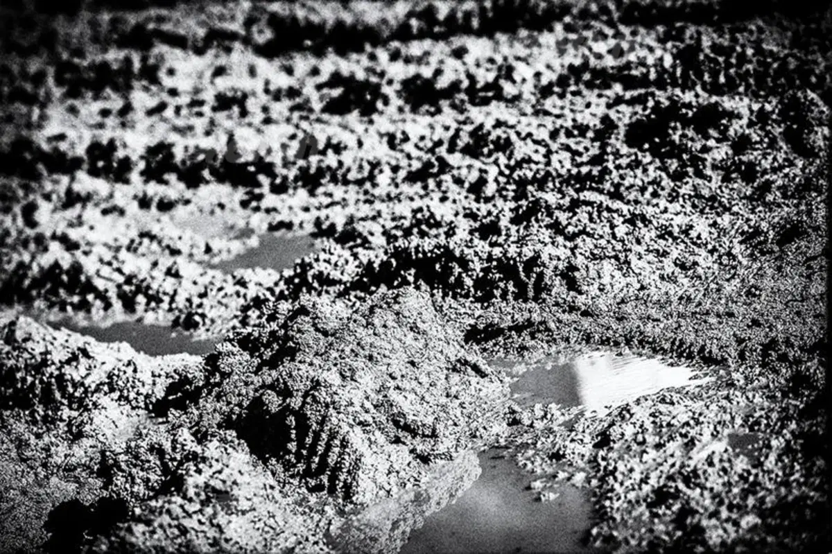 MXGP. Le foto più spettacolari del GP di Spagna (81)