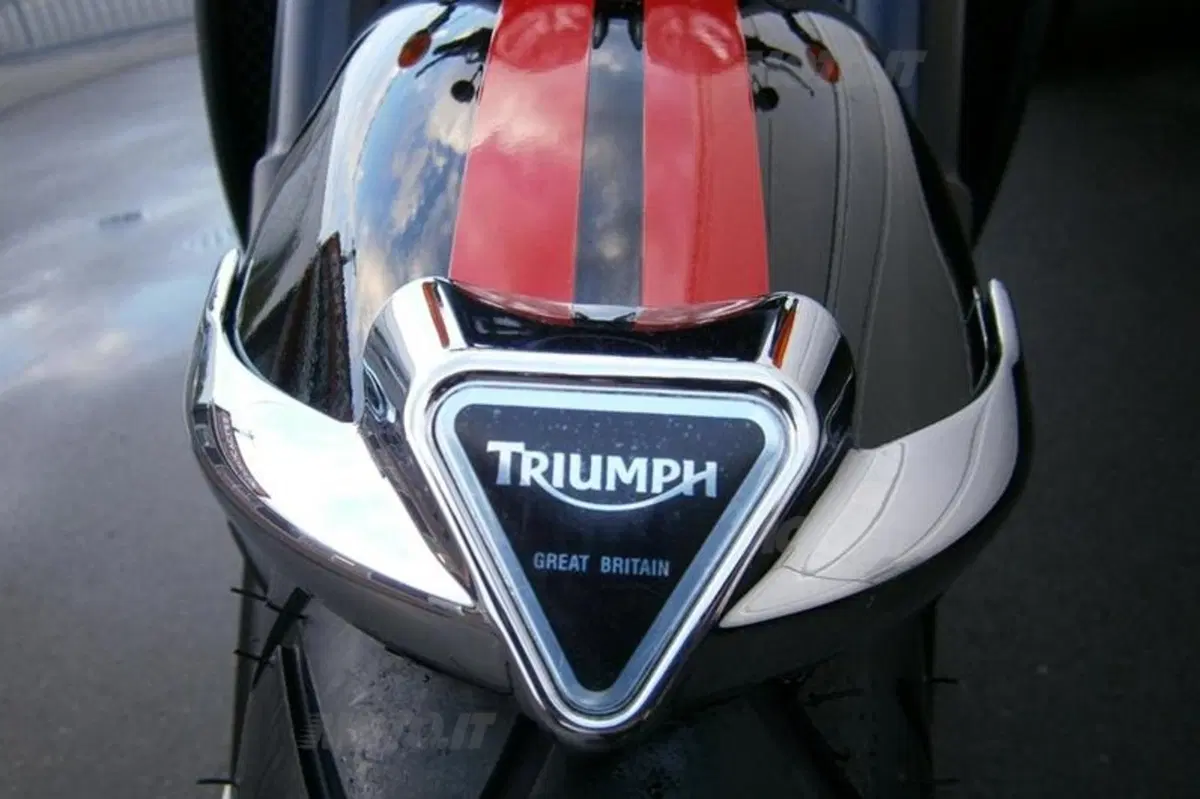 Nuove Triumph Cruiser 2014  (38)
