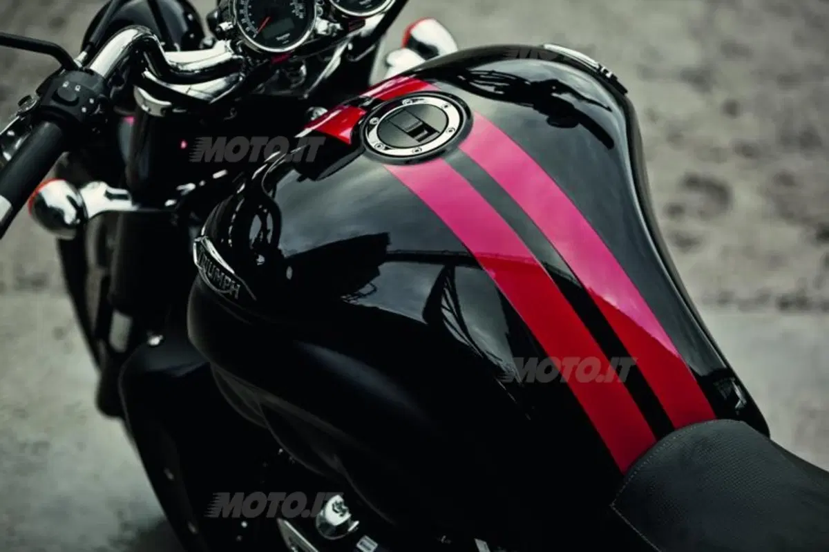 Nuove Triumph Cruiser 2014  (41)