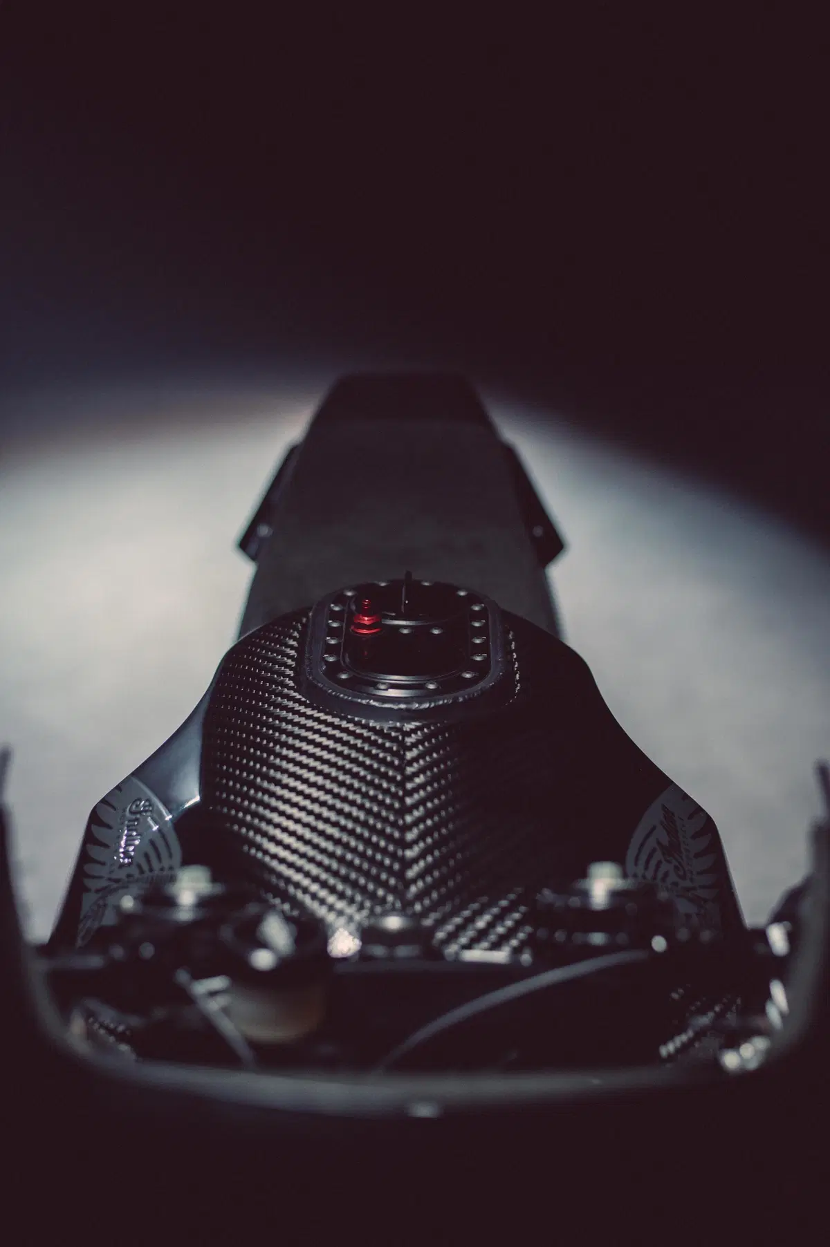 Indian FTR Black Swan by Workhorse Speed Shop: Radical Racer (4)