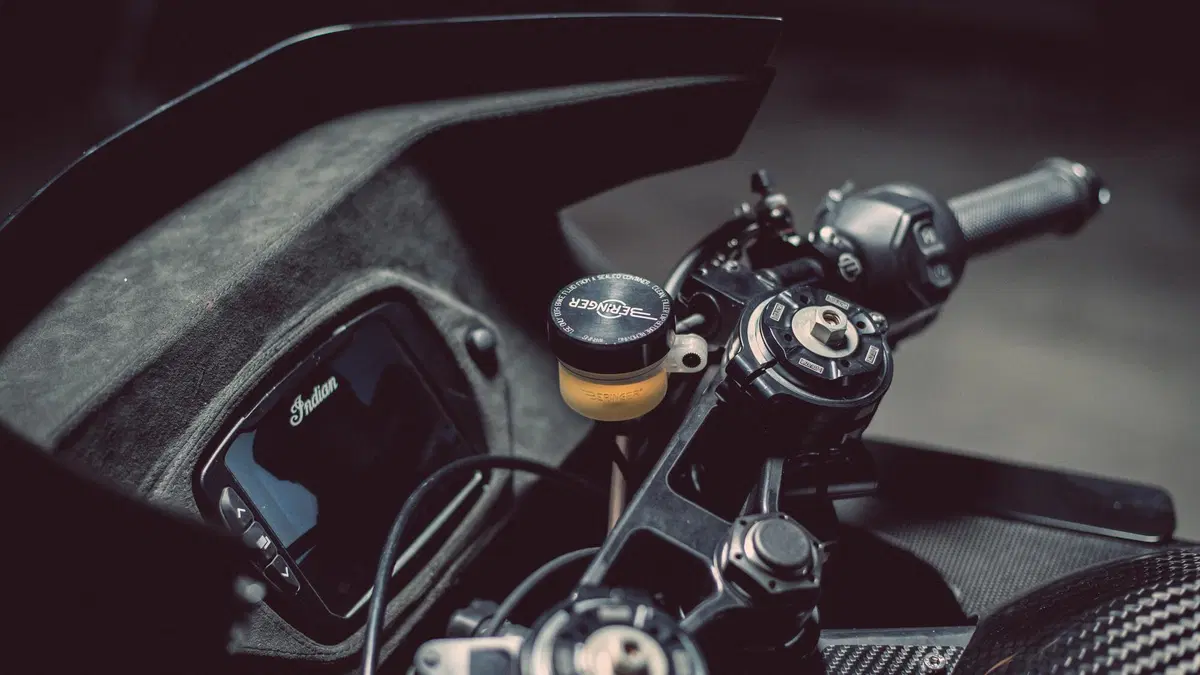 Indian FTR Black Swan by Workhorse Speed Shop: Radical Racer (17)