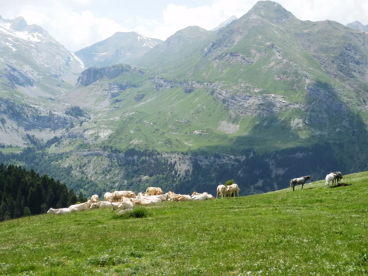 Viaggi in moto: Pirenei Centrali e non solo... (7)