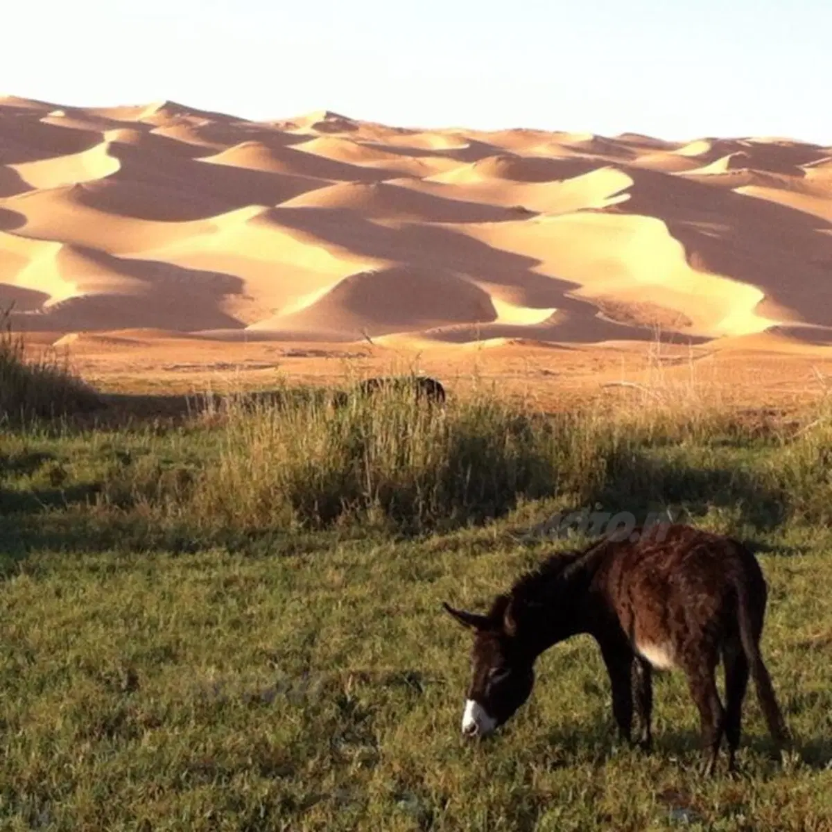 I Racconti di Moto.it: "L'uomo sulle dune" (10)