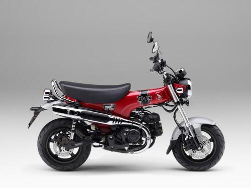 Nuova Honda ST125 Dax. Presentata in Giappone, arriva in Europa (5)