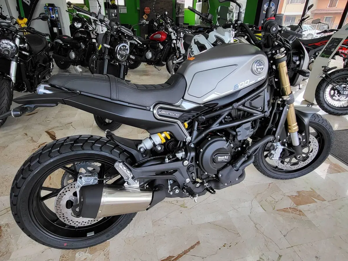 Benelli Leoncino 800 (2022 - 26) (2)