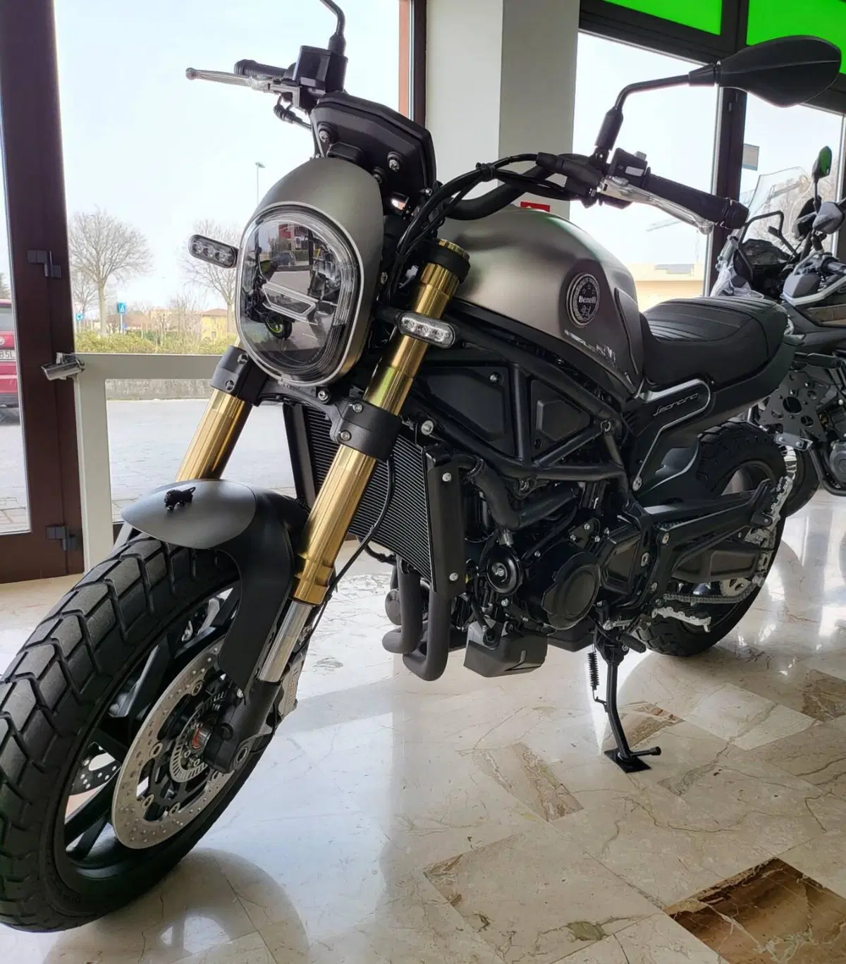 Benelli Leoncino 800 (2022 - 26) (4)