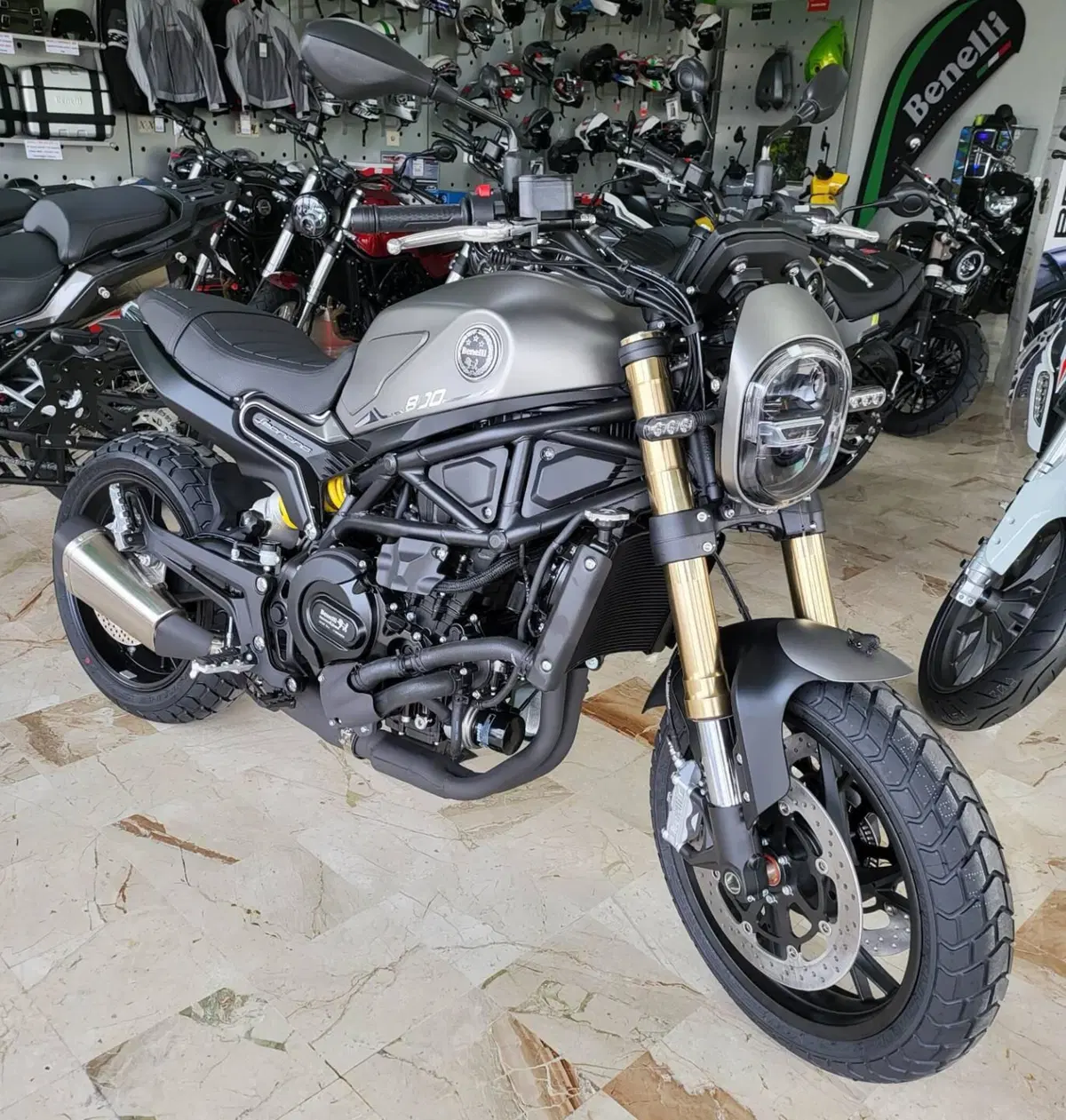 Benelli Leoncino 800 (2022 - 26)
