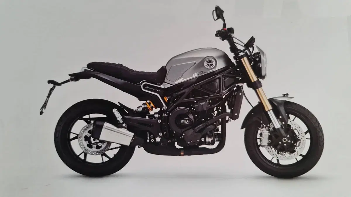 Benelli Leoncino 800 (2022 - 26)