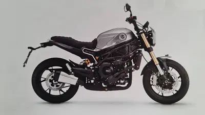 Benelli Leoncino 800 (2022 - 26) nuova