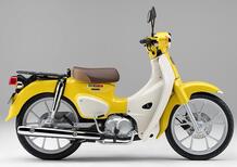 Honda Super Cub 110 m.y. 2022. Più classico non si può