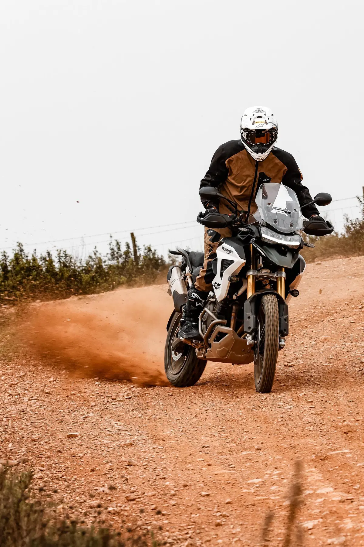 Nuova Triumph Tiger 1200 (3)