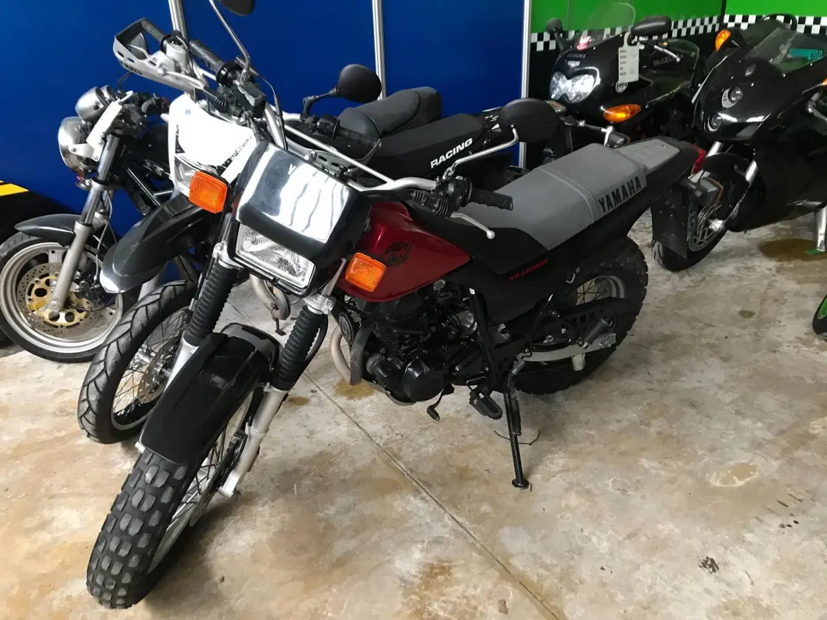 Yamaha trailway (3)