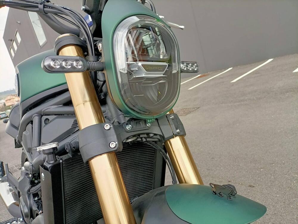 Benelli Leoncino 800 (2022 - 24) (3)