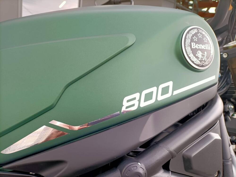 Benelli Leoncino 800 (2022 - 24) (5)