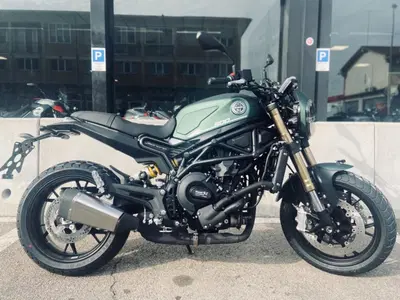 Benelli Leoncino 800 (2022 - 26) nuova
