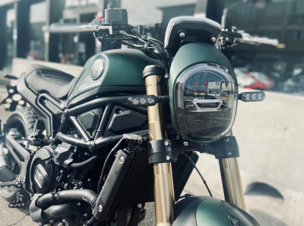 Benelli Leoncino 800 (2022 - 26) (5)