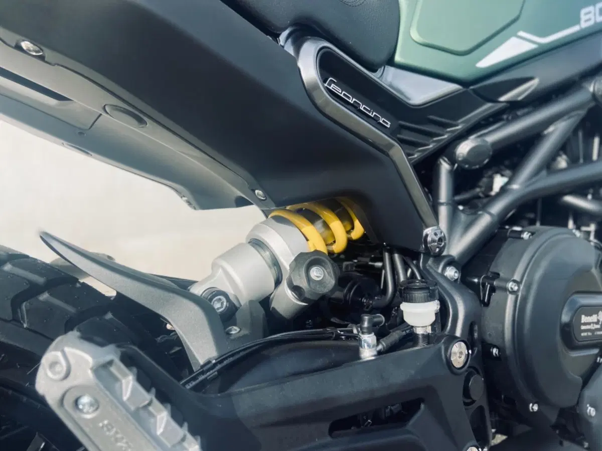 Benelli Leoncino 800 (2022 - 26) (7)