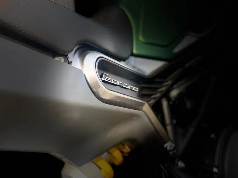 Benelli Leoncino 800 (2022 - 26) (8)