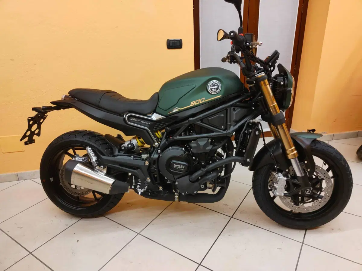Benelli Leoncino 800 (2022 - 26)