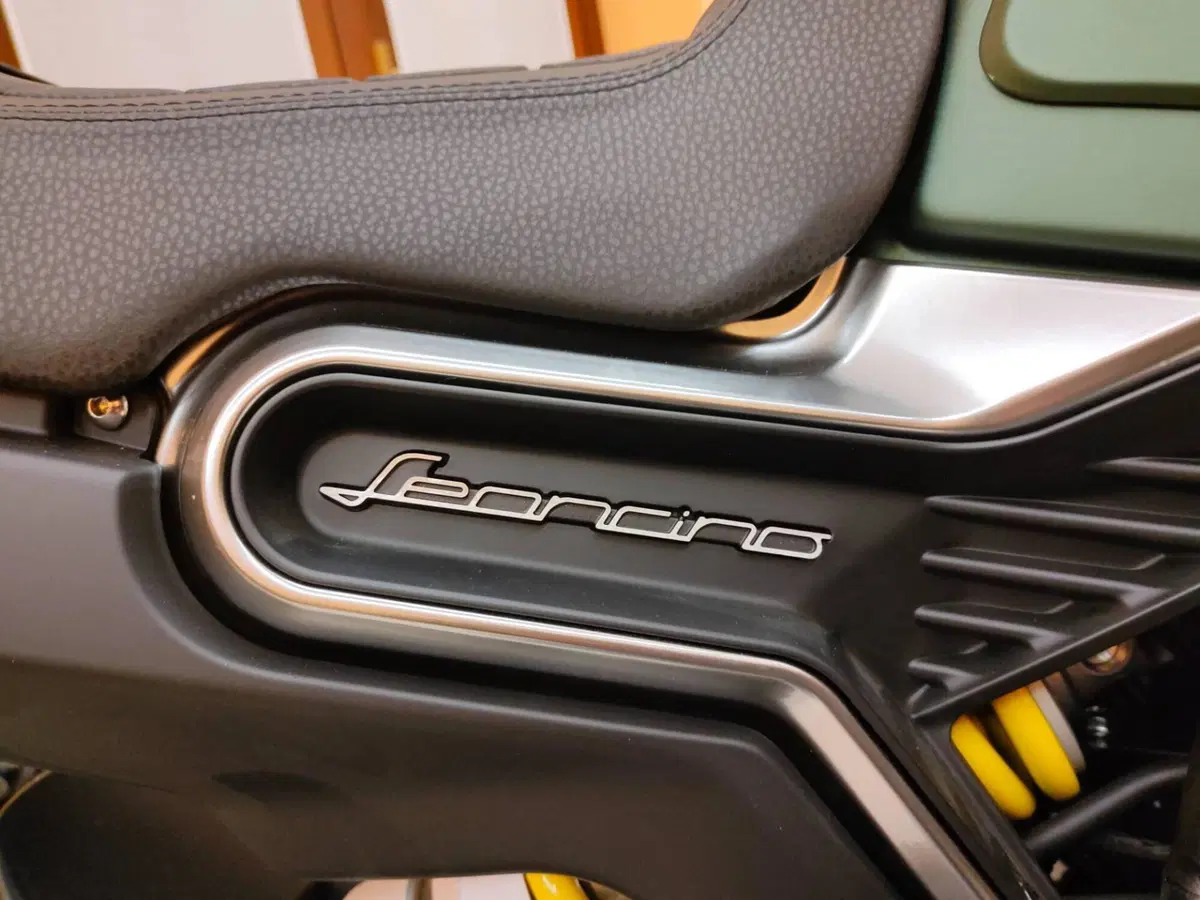 Benelli Leoncino 800 (2022 - 26) (6)