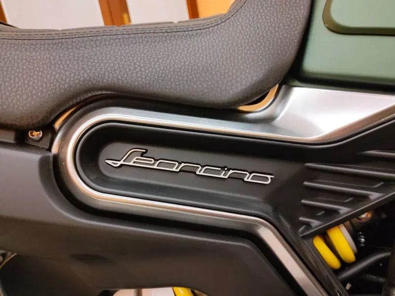 Benelli Leoncino 800 (2022 - 26) (6)
