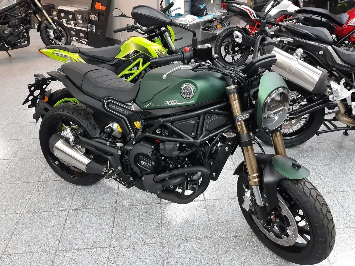 Benelli Leoncino 800 (2022 - 26)
