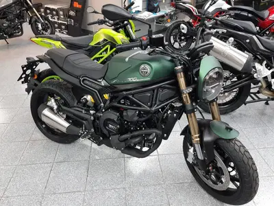 Benelli Leoncino 800 (2022 - 26) nuova