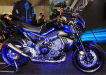 Yamaha MT-09 Cyber Rally. Allestimento giapponese