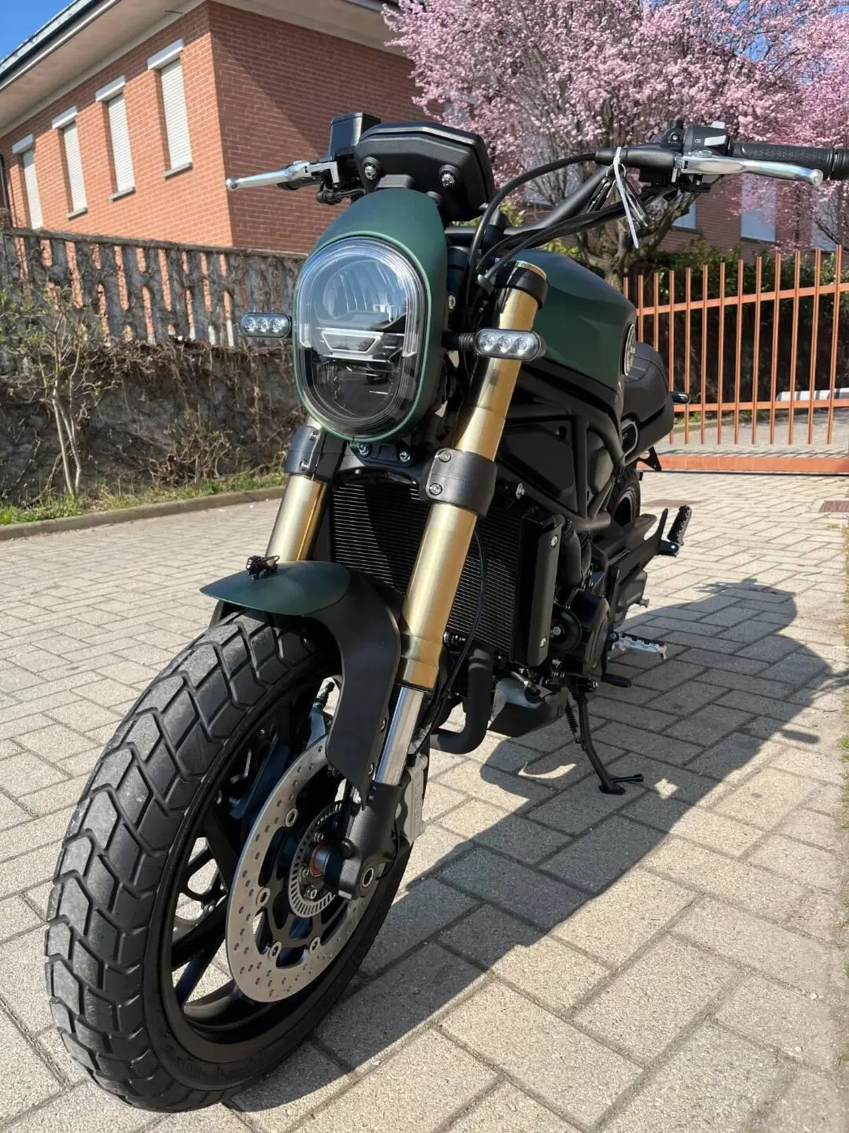 Benelli Leoncino 800 (2022 - 26) (6)