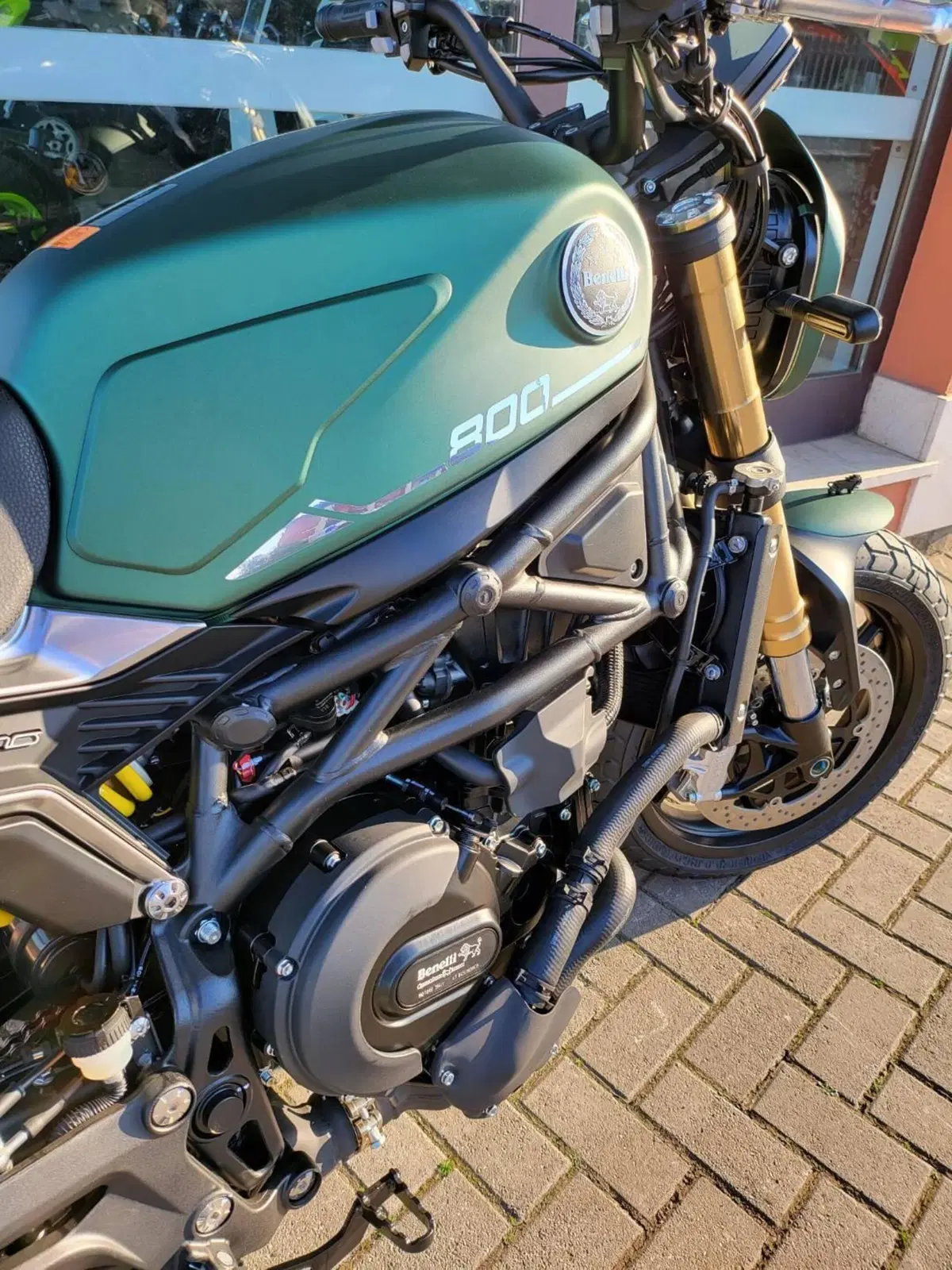Benelli Leoncino 800 (2022 - 26) (6)