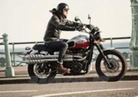 Triumph Scrambler 2014
