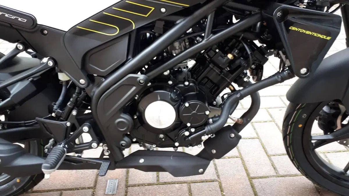 Benelli Leoncino 125 (2022 - 25) (3)