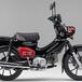 Honda Cross Cub 110 Kumamon 2022