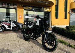 Benelli Leoncino 125 (2022 - 24) nuova