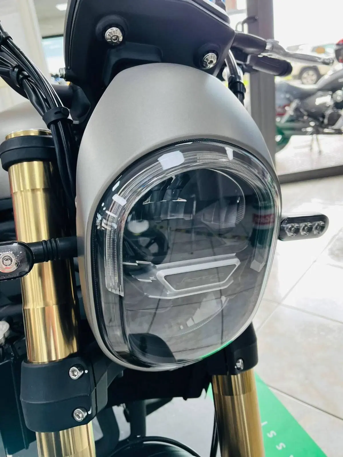 Benelli Leoncino 800 (2022 - 26) (2)