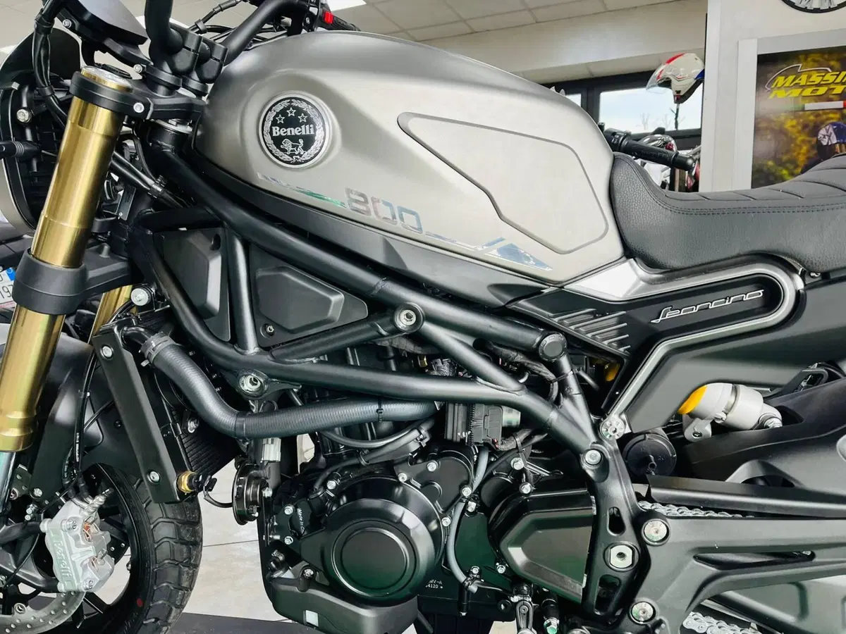 Benelli Leoncino 800 (2022 - 26)