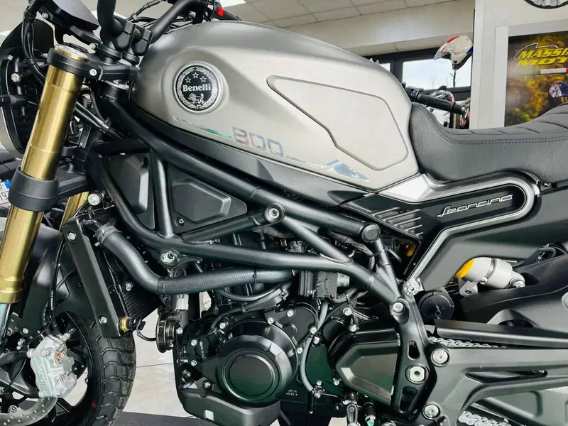 Benelli Leoncino 800 (2022 - 26)